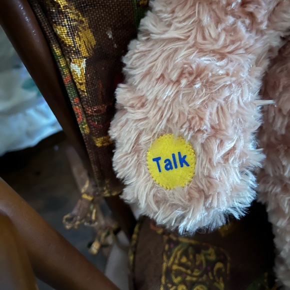 2007 Recordable Build-A-Bear, made exclusively for JC Penney - Picture 2 of 8